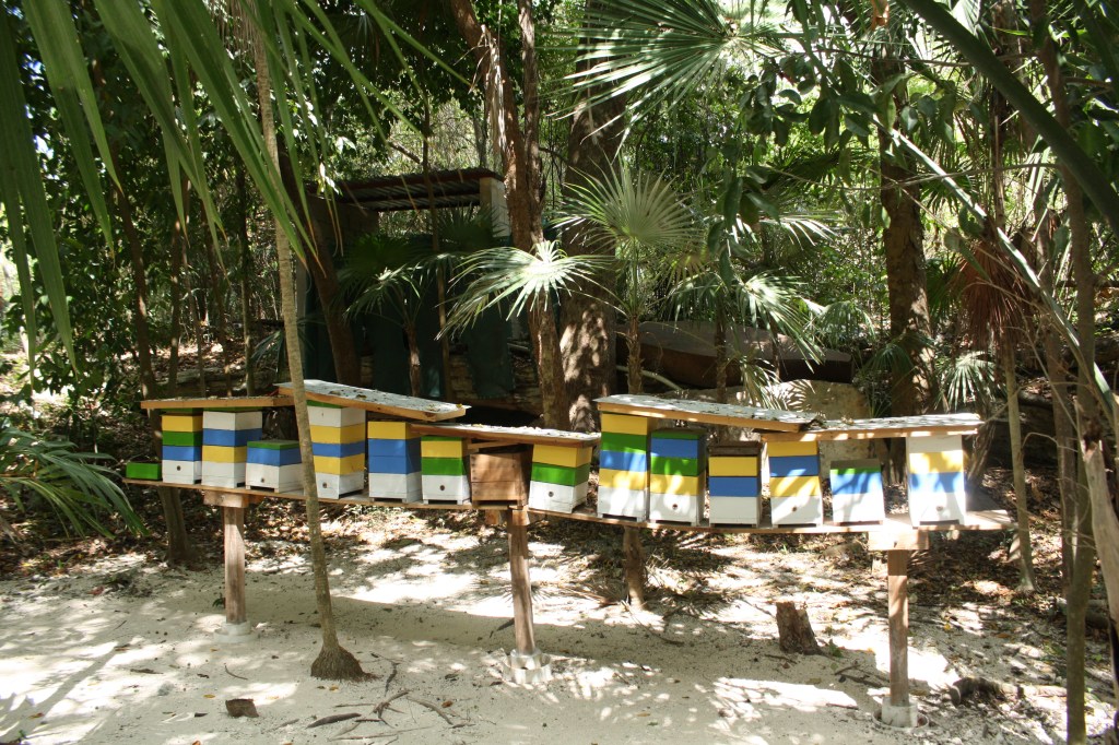 Mayan Riviera Mexico